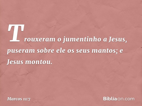 Trouxeram o jumentinho a Jesus, puseram sobre ele os seus mantos; e Jesus montou. -- Marcos 11:7