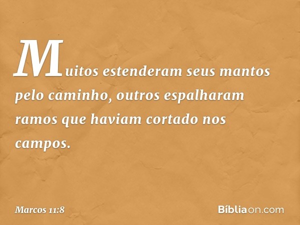 Muitos estenderam seus mantos pelo caminho, outros espalharam ramos que haviam cortado nos campos. -- Marcos 11:8