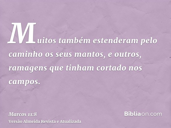 Muitos também estenderam pelo caminho os seus mantos, e outros, ramagens que tinham cortado nos campos.