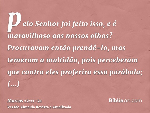 pelo Senhor foi feito isso, e é maravilhoso aos nossos olhos?Procuravam então prendê-lo, mas temeram a multidão, pois perceberam que contra eles proferira essa 