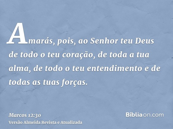 Amarás, pois, ao Senhor teu Deus de todo o teu coração, de toda a tua alma, de todo o teu entendimento e de todas as tuas forças.