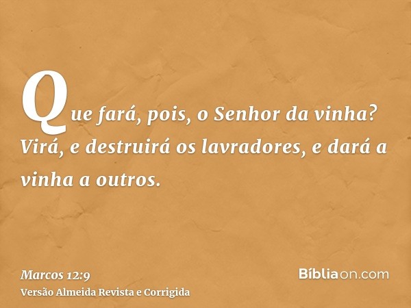 Que fará, pois, o Senhor da vinha? Virá, e destruirá os lavradores, e dará a vinha a outros.