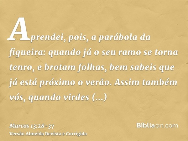 Aprendei, pois, a parábola da figueira: quando já o seu ramo se torna tenro, e brotam folhas, bem sabeis que já está próximo o verão.Assim também vós, quando vi