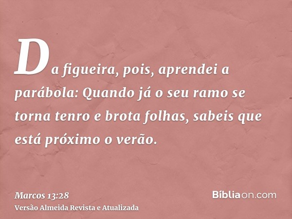 Da figueira, pois, aprendei a parábola: Quando já o seu ramo se torna tenro e brota folhas, sabeis que está próximo o verão.