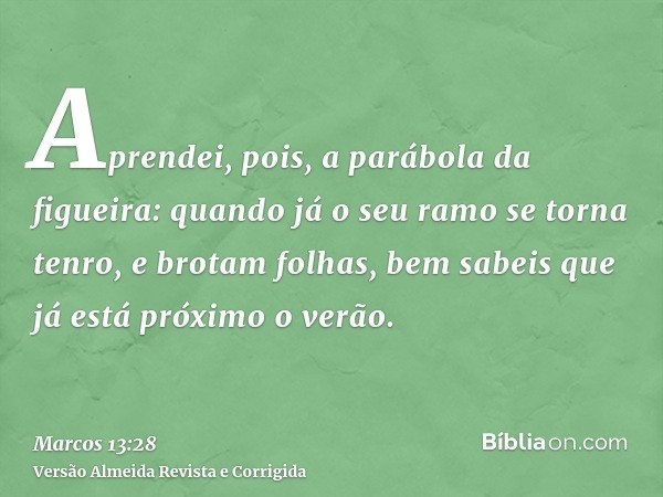 Aprendei, pois, a parábola da figueira: quando já o seu ramo se torna tenro, e brotam folhas, bem sabeis que já está próximo o verão.