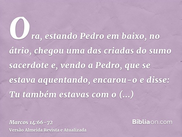 Ora, estando Pedro em baixo, no átrio, chegou uma das criadas do sumo sacerdotee, vendo a Pedro, que se estava aquentando, encarou-o e disse: Tu também estavas 