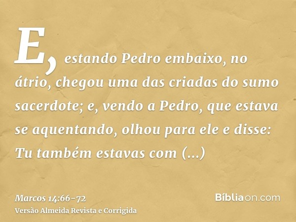 E, estando Pedro embaixo, no átrio, chegou uma das criadas do sumo sacerdote;e, vendo a Pedro, que estava se aquentando, olhou para ele e disse: Tu também estav