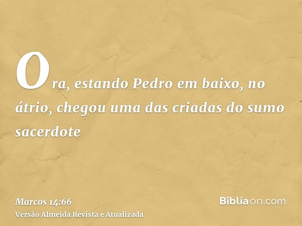 Ora, estando Pedro em baixo, no átrio, chegou uma das criadas do sumo sacerdote