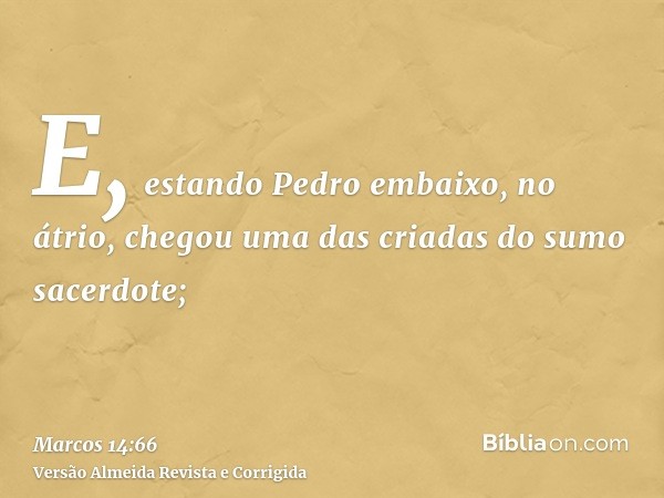 E, estando Pedro embaixo, no átrio, chegou uma das criadas do sumo sacerdote;
