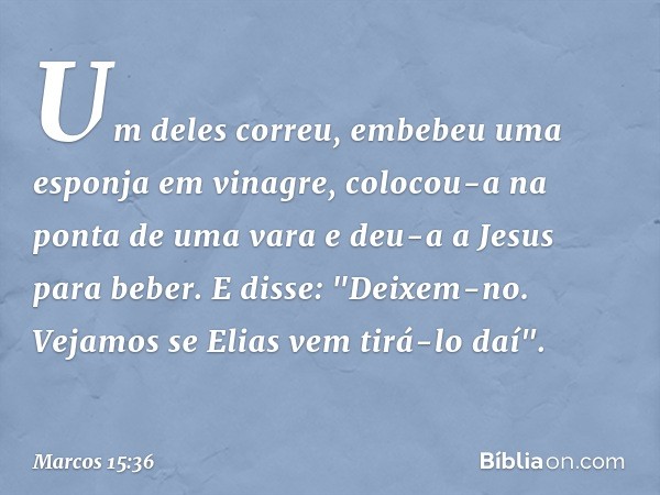 Um deles correu, embebeu uma esponja em vinagre, colocou-a na ponta de uma vara e deu-a a Jesus para beber. E disse: "Deixem-no. Vejamos se Elias vem tirá-lo da