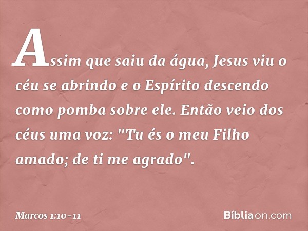 Assim que saiu da água, Jesus viu o céu se abrindo e o Espírito descendo como pomba sobre ele. Então veio dos céus uma voz: "Tu és o meu Filho amado; de ti me a