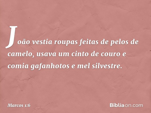 João vestia roupas feitas de pelos de camelo, usava um cinto de couro e comia gafanhotos e mel silvestre. -- Marcos 1:6