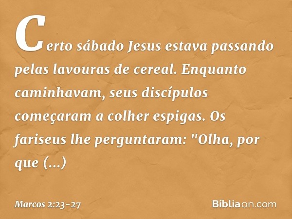 Certo sábado Jesus estava passando pelas lavouras de cereal. Enquanto caminhavam, seus discípulos começaram a colher espigas. Os fariseus lhe perguntaram: "Olha