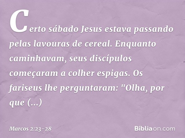 Certo sábado Jesus estava passando pelas lavouras de cereal. Enquanto caminhavam, seus discípulos começaram a colher espigas. Os fariseus lhe perguntaram: "Olha