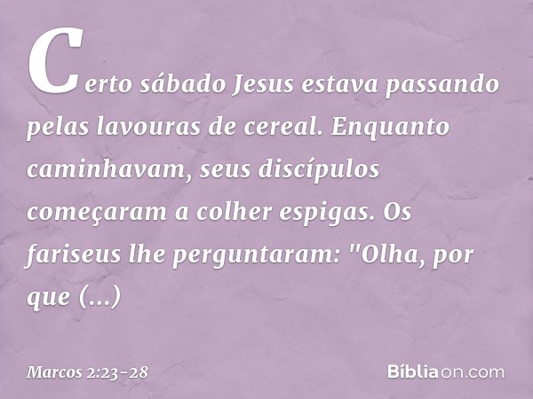 Certo sábado Jesus estava passando pelas lavouras de cereal. Enquanto caminhavam, seus discípulos começaram a colher espigas. Os fariseus lhe perguntaram: "Olha