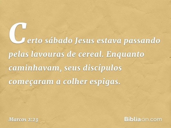 Certo sábado Jesus estava passando pelas lavouras de cereal. Enquanto caminhavam, seus discípulos começaram a colher espigas. -- Marcos 2:23