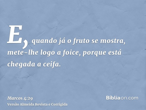 E, quando já o fruto se mostra, mete-lhe logo a foice, porque está chegada a ceifa.