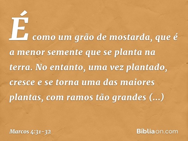 É como um grão de mostarda, que é a menor semente que se planta na terra. No entanto, uma vez plantado, cresce e se torna uma das maiores plantas, com ramos tão