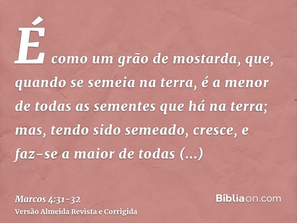 É como um grão de mostarda, que, quando se semeia na terra, é a menor de todas as sementes que há na terra;mas, tendo sido semeado, cresce, e faz-se a maior de 