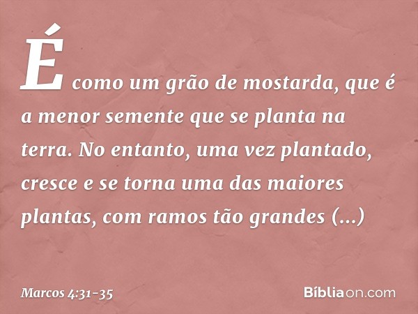 É como um grão de mostarda, que é a menor semente que se planta na terra. No entanto, uma vez plantado, cresce e se torna uma das maiores plantas, com ramos tão