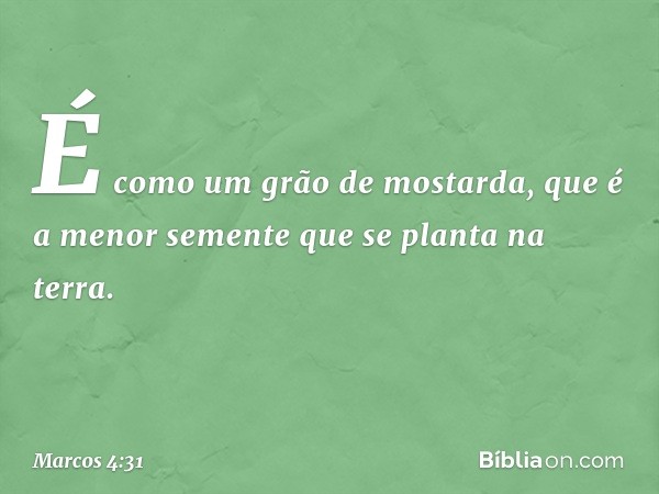 É como um grão de mostarda, que é a menor semente que se planta na terra. -- Marcos 4:31