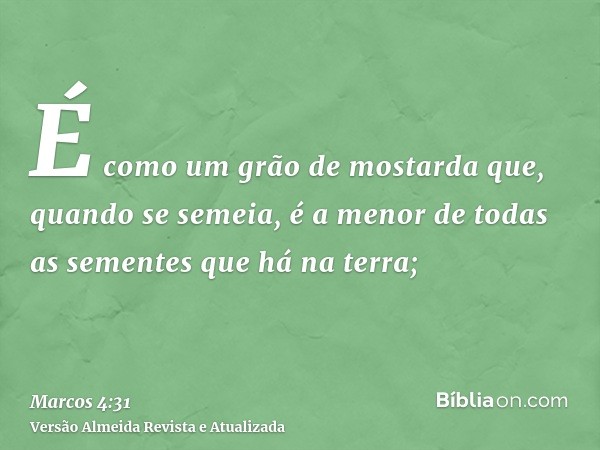 É como um grão de mostarda que, quando se semeia, é a menor de todas as sementes que há na terra;