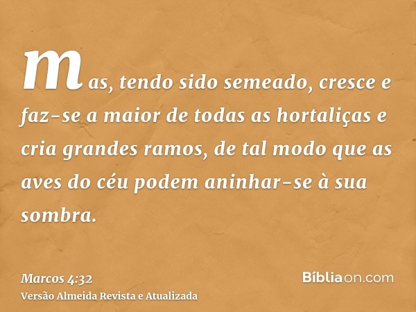 mas, tendo sido semeado, cresce e faz-se a maior de todas as hortaliças e cria grandes ramos, de tal modo que as aves do céu podem aninhar-se à sua sombra.