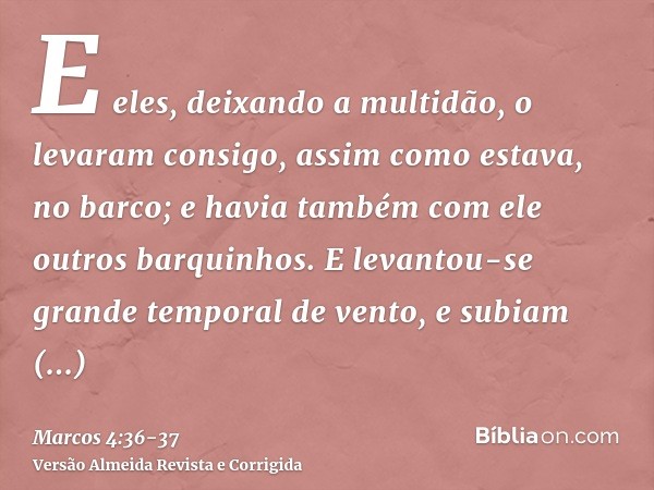 E eles, deixando a multidão, o levaram consigo, assim como estava, no barco; e havia também com ele outros barquinhos.E levantou-se grande temporal de vento, e 