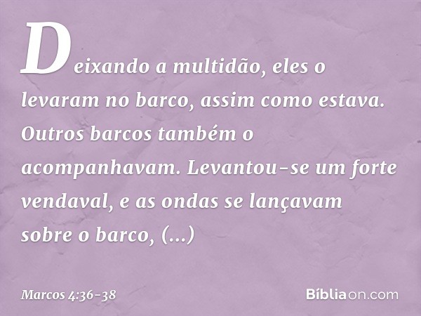 Deixando a multidão, eles o levaram no barco, assim como estava. Outros barcos também o acompanhavam. Levantou-se um forte vendaval, e as ondas se lançavam sobr