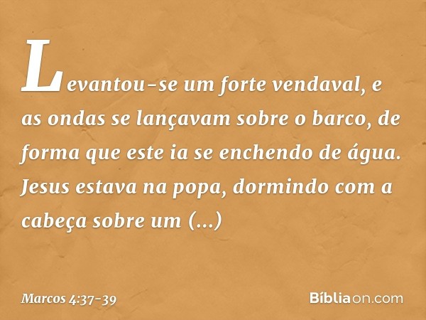 Levantou-se um forte vendaval, e as ondas se lançavam sobre o barco, de forma que este ia se enchendo de água. Jesus estava na popa, dormindo com a cabeça sobre