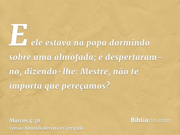 E ele estava na popa dormindo sobre uma almofada; e despertaram-no, dizendo-lhe: Mestre, não te importa que pereçamos?