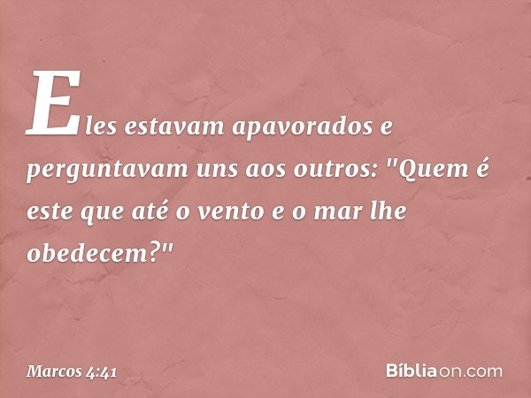 Eles estavam apavorados e perguntavam uns aos outros: "Quem é este que até o vento e o mar lhe obedecem?" -- Marcos 4:41