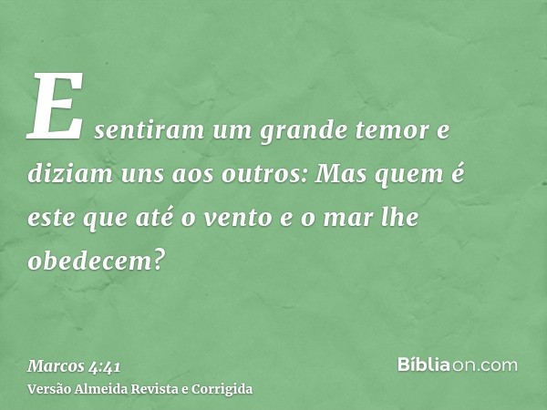 E sentiram um grande temor e diziam uns aos outros: Mas quem é este que até o vento e o mar lhe obedecem?