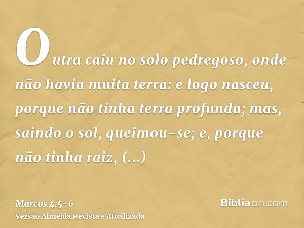 Outra caiu no solo pedregoso, onde não havia muita terra: e logo nasceu, porque não tinha terra profunda;mas, saindo o sol, queimou-se; e, porque não tinha raiz