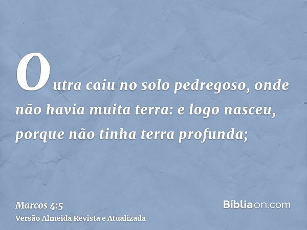 Outra caiu no solo pedregoso, onde não havia muita terra: e logo nasceu, porque não tinha terra profunda;