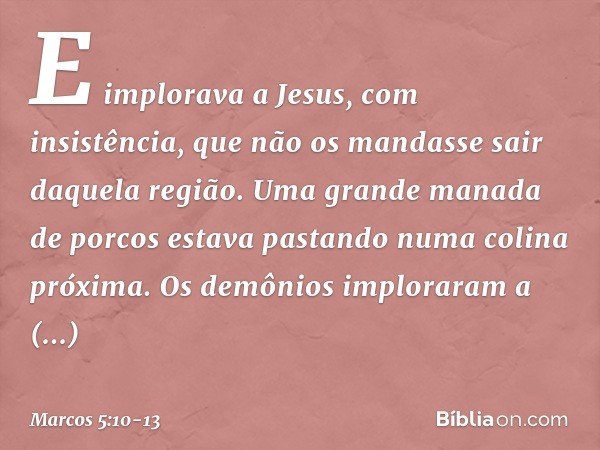 E implorava a Jesus, com insistência, que não os mandasse sair daquela região. Uma grande manada de porcos estava pastando numa colina próxima. Os demônios impl