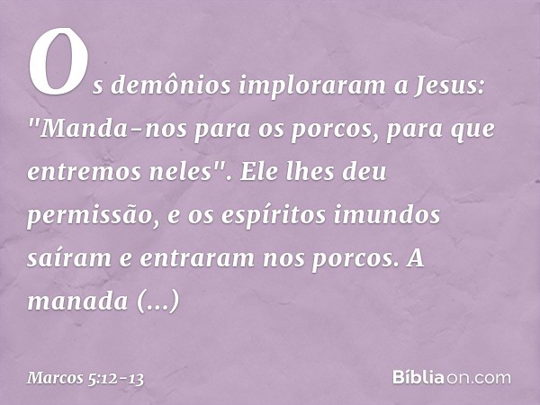 Os demônios imploraram a Jesus: "Manda-nos para os porcos, para que entremos neles". Ele lhes deu permissão, e os espíritos imundos saíram e entraram nos porcos