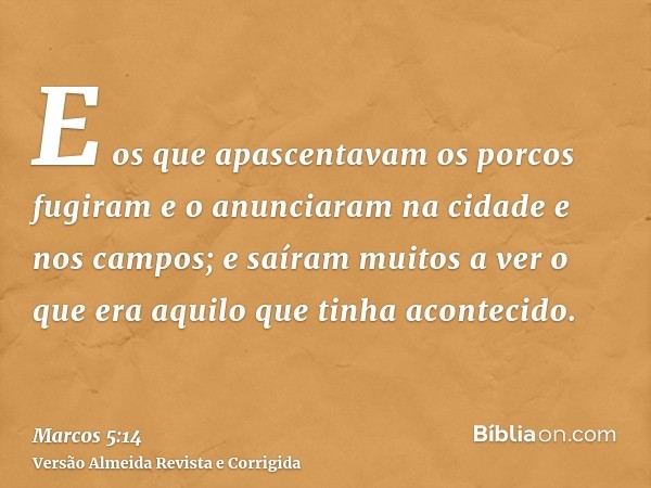 E os que apascentavam os porcos fugiram e o anunciaram na cidade e nos campos; e saíram muitos a ver o que era aquilo que tinha acontecido.