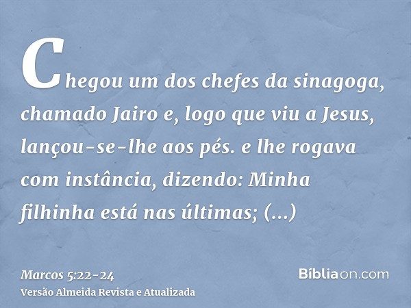 Chegou um dos chefes da sinagoga, chamado Jairo e, logo que viu a Jesus, lançou-se-lhe aos pés.e lhe rogava com instância, dizendo: Minha filhinha está nas últi