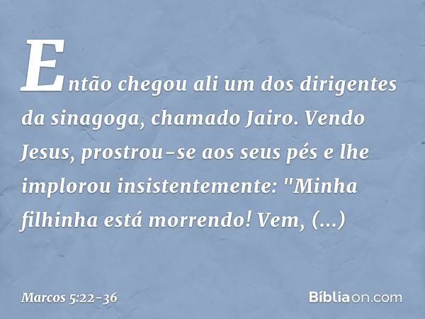 Então chegou ali um dos dirigentes da sinagoga, chamado Jairo. Vendo Jesus, prostrou-se aos seus pés e lhe implorou insistentemente: "Minha filhinha está morren