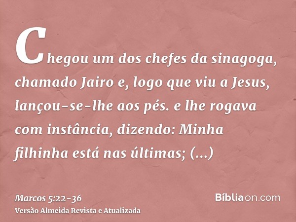 Chegou um dos chefes da sinagoga, chamado Jairo e, logo que viu a Jesus, lançou-se-lhe aos pés.e lhe rogava com instância, dizendo: Minha filhinha está nas últi