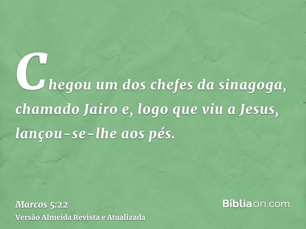 Chegou um dos chefes da sinagoga, chamado Jairo e, logo que viu a Jesus, lançou-se-lhe aos pés.