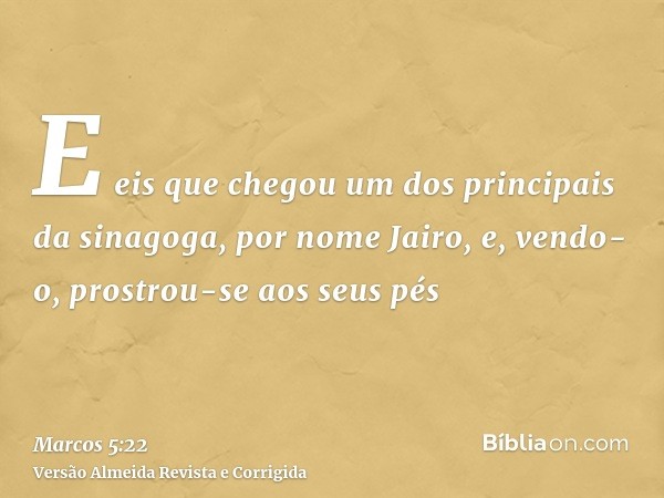 E eis que chegou um dos principais da sinagoga, por nome Jairo, e, vendo-o, prostrou-se aos seus pés