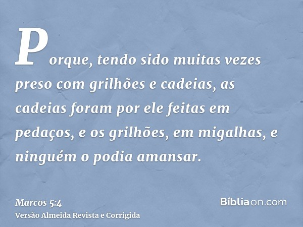 Porque, tendo sido muitas vezes preso com grilhões e cadeias, as cadeias foram por ele feitas em pedaços, e os grilhões, em migalhas, e ninguém o podia amansar.