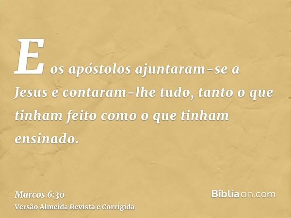 E os apóstolos ajuntaram-se a Jesus e contaram-lhe tudo, tanto o que tinham feito como o que tinham ensinado.