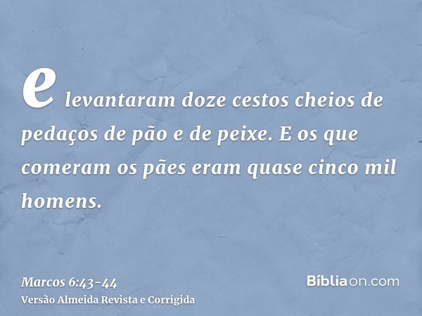 e levantaram doze cestos cheios de pedaços de pão e de peixe.E os que comeram os pães eram quase cinco mil homens.
