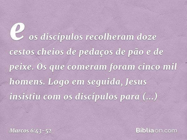 e os discípulos recolheram doze cestos cheios de pedaços de pão e de peixe. Os que comeram foram cinco mil homens. Logo em seguida, Jesus insistiu com os discíp