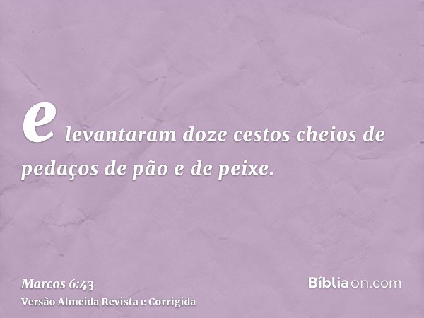 e levantaram doze cestos cheios de pedaços de pão e de peixe.