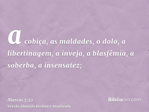 a cobiça, as maldades, o dolo, a libertinagem, a inveja, a blasfêmia, a soberba, a insensatez;