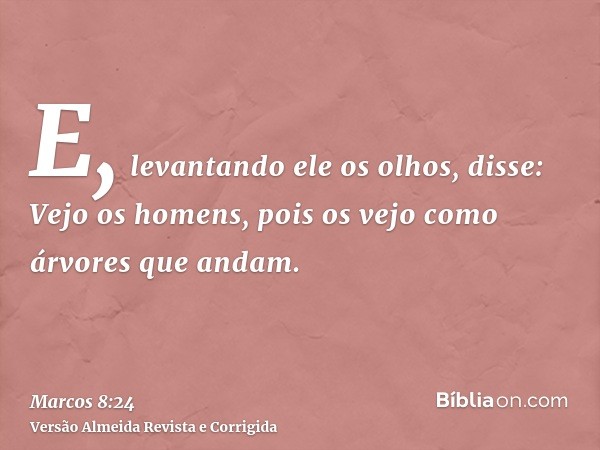 E, levantando ele os olhos, disse: Vejo os homens, pois os vejo como árvores que andam.